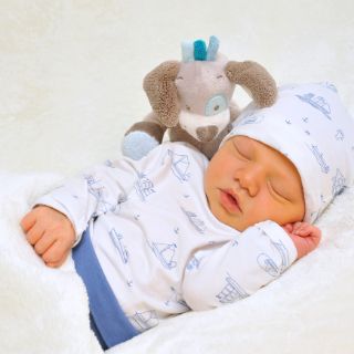 Alexander