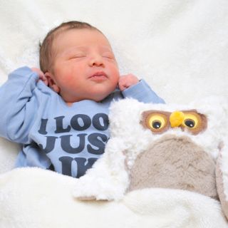 Jannis Armin