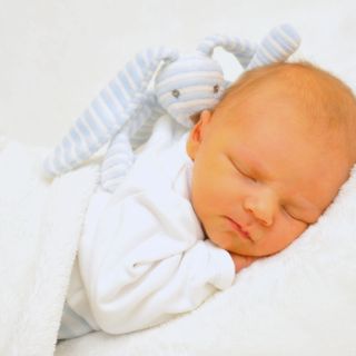 Maximilian