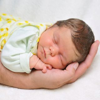 Savannah