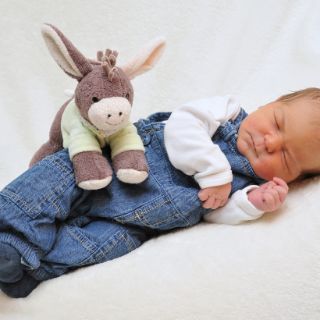 Linus