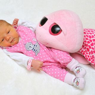 Romina