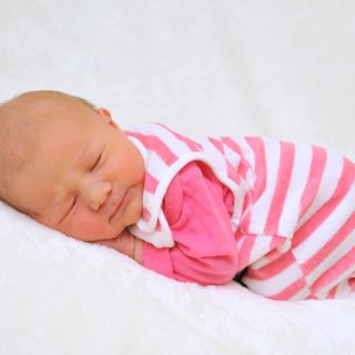 Aurelia Elisia