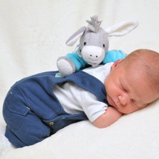 Finn Philippe