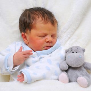 Alexis Sophie