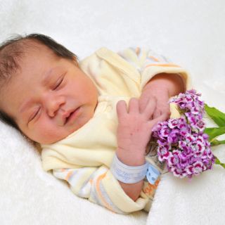 Shayan Ali
