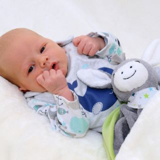 Linus Milo Petretti