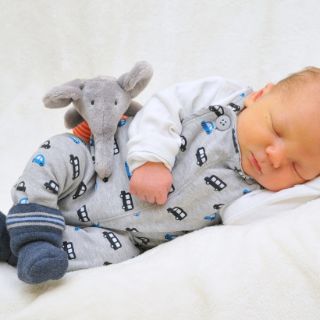 Noah Elian