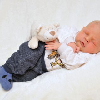 Theodor