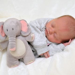 Ella Charlotte