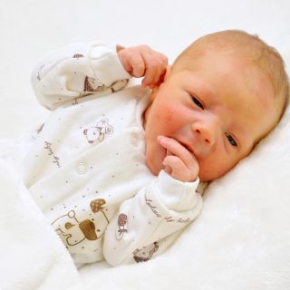 Mateo