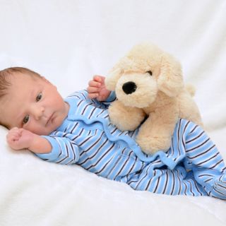 Phil-Robert
