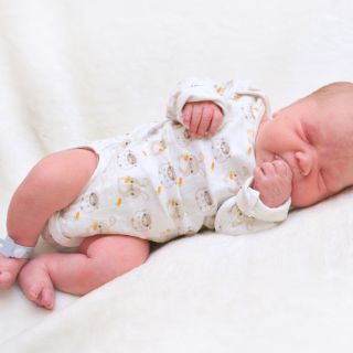 Aaron Niilo
