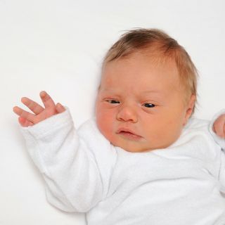 Lia Sophie
