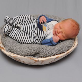Jonte