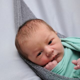 Felix