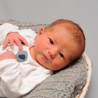 Malte Johannes
