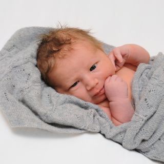 Davi