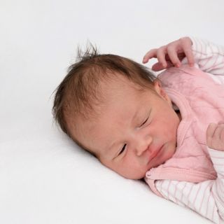 Malea