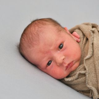 Louis Maximilian