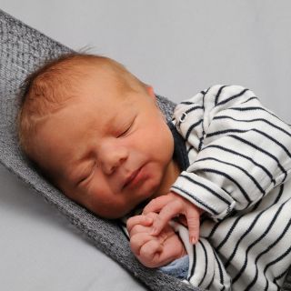Felix Johann