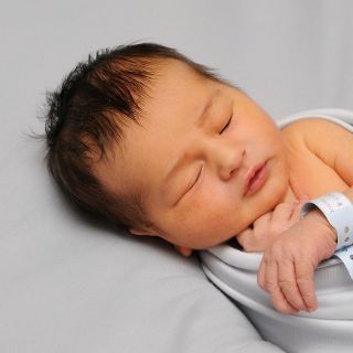 Noah Fazal