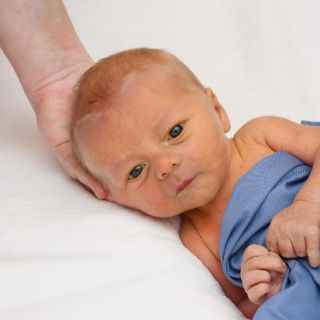 Lennart