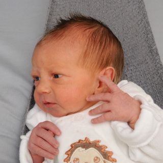 Svea Sofie