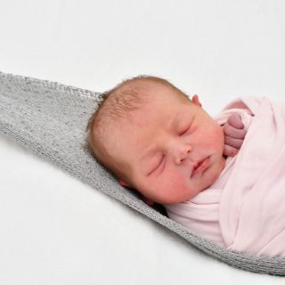 Nora