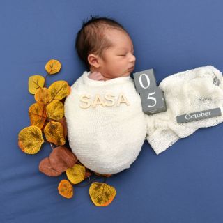Sasa