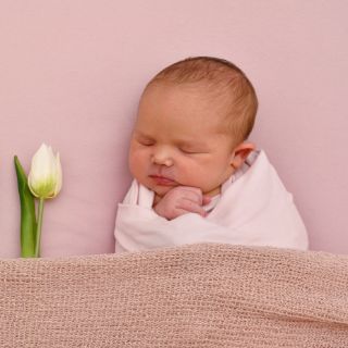 Charlotte Clara