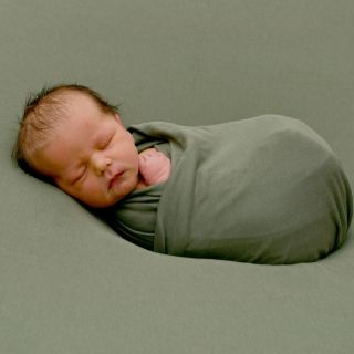 Adele Carmen Ludovika