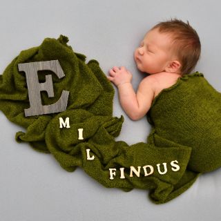 Emil Findus