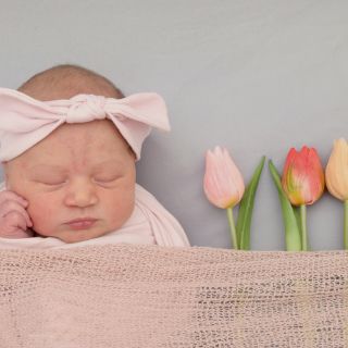 Ellie Heiler