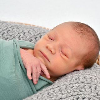 Jarvid