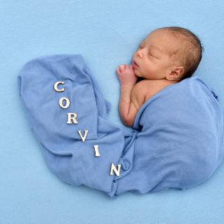 Corvin