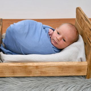 Harry Theo