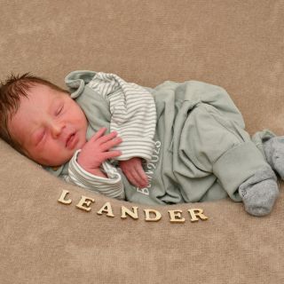 Leander