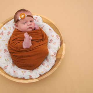 Sophia