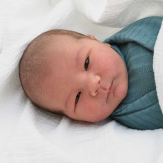 Elias
