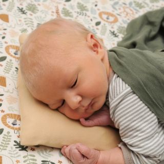 Theo