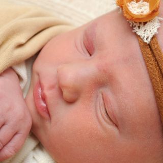 Ava Emilia