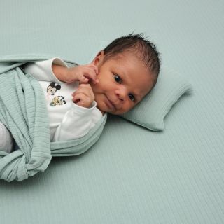 Noah