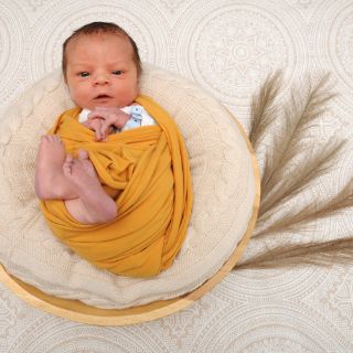 Lando