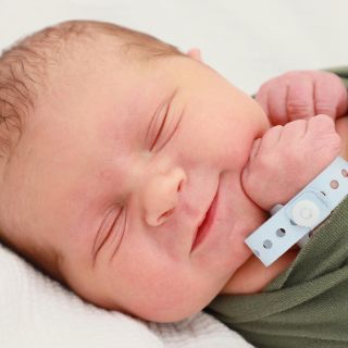 Alexander