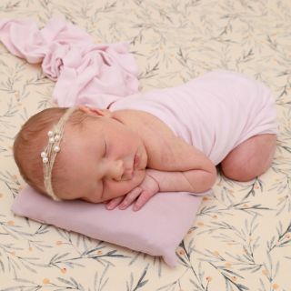 Carlotta Annabelle