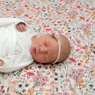 Louise Charlotte