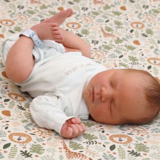 Ares Malik