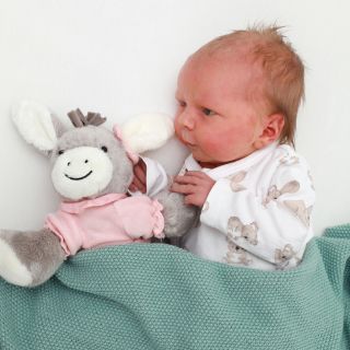 Romy Nia