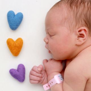 Everly